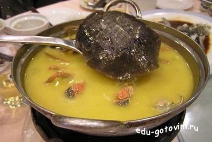 Варим классический суп из черепахи